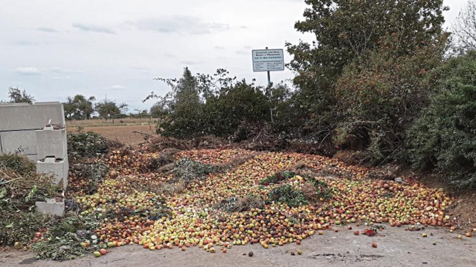 Überlagertes Obst oder Gemüse gehört nicht auf den Häckselplatz. Foto: Landratsamt Enzkreis Überlagertes Obst oder Gemüse gehört nicht auf den Häckselplatz. Foto: Landratsamt Enzkreis