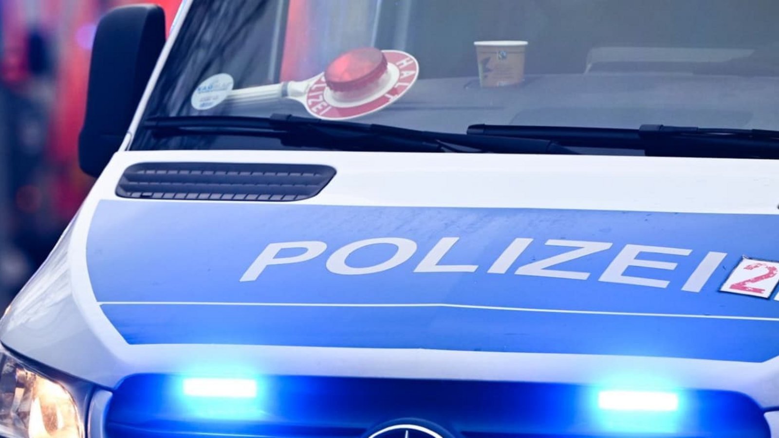 Motorhaube und Windschutzscheibe eines Polizeiautos sind von einem Pferd demoliert worden (Symbolfoto).Jens Kalaene/dpa