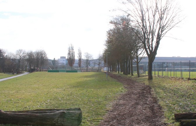 Zwischen Sportplatz und Radweg nach Horrheim entsteht die Pumptrack-Anlage in Sersheim. Foto: Bögel<span class='image-autor'>Foto: Bögel</span>
