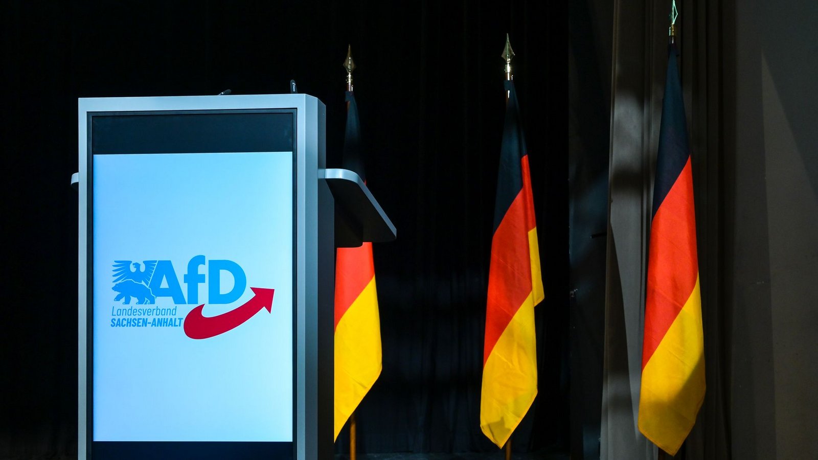 Insbesondere der AfD-Landesverband in Sachsen-Anhalt steht im Fokus. (Archivbild)Foto: Heiko Rebsch/dpa