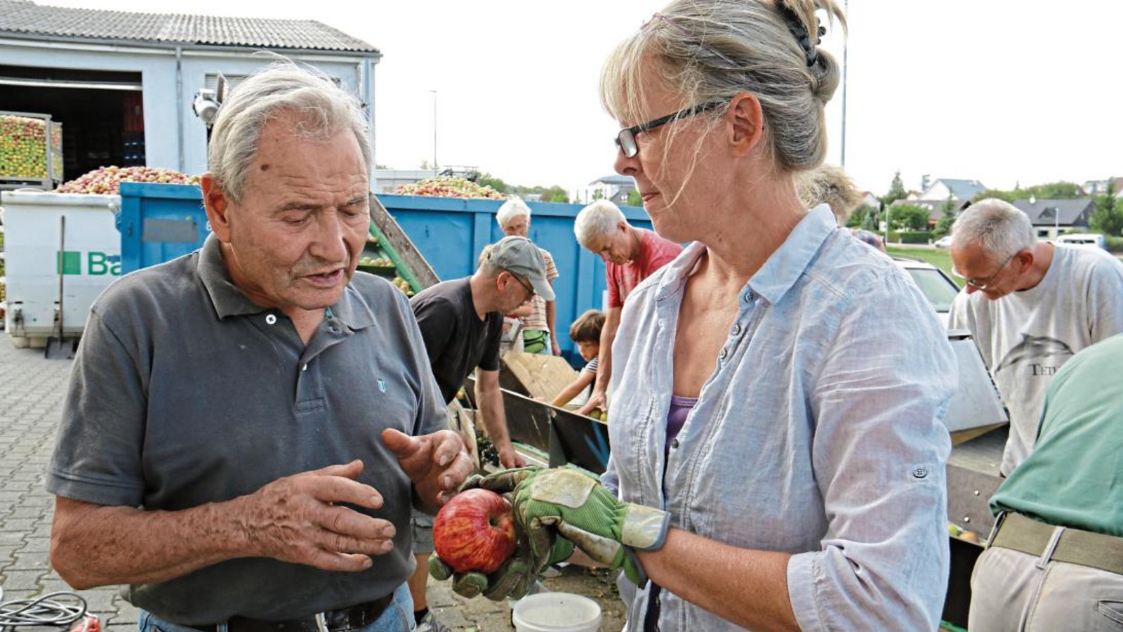 Gerhard Haffner und Erika Roth von der Streuobstinitiative fachsimpeln darüber, um was für eine Apfelsorte es sich hier handeln könnte. Eine Luike vielleicht? Im Hintergrund läuft derweil die Fließbandarbeit weiter.  Fotos: Rücker