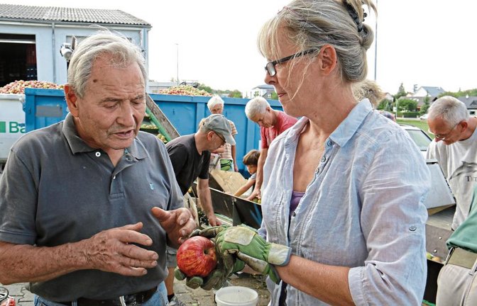 Gerhard Haffner und Erika Roth von der Streuobstinitiative fachsimpeln darüber, um was für eine Apfelsorte es sich hier handeln könnte. Eine Luike vielleicht? Im Hintergrund läuft derweil die Fließbandarbeit weiter.  Fotos: Rücker