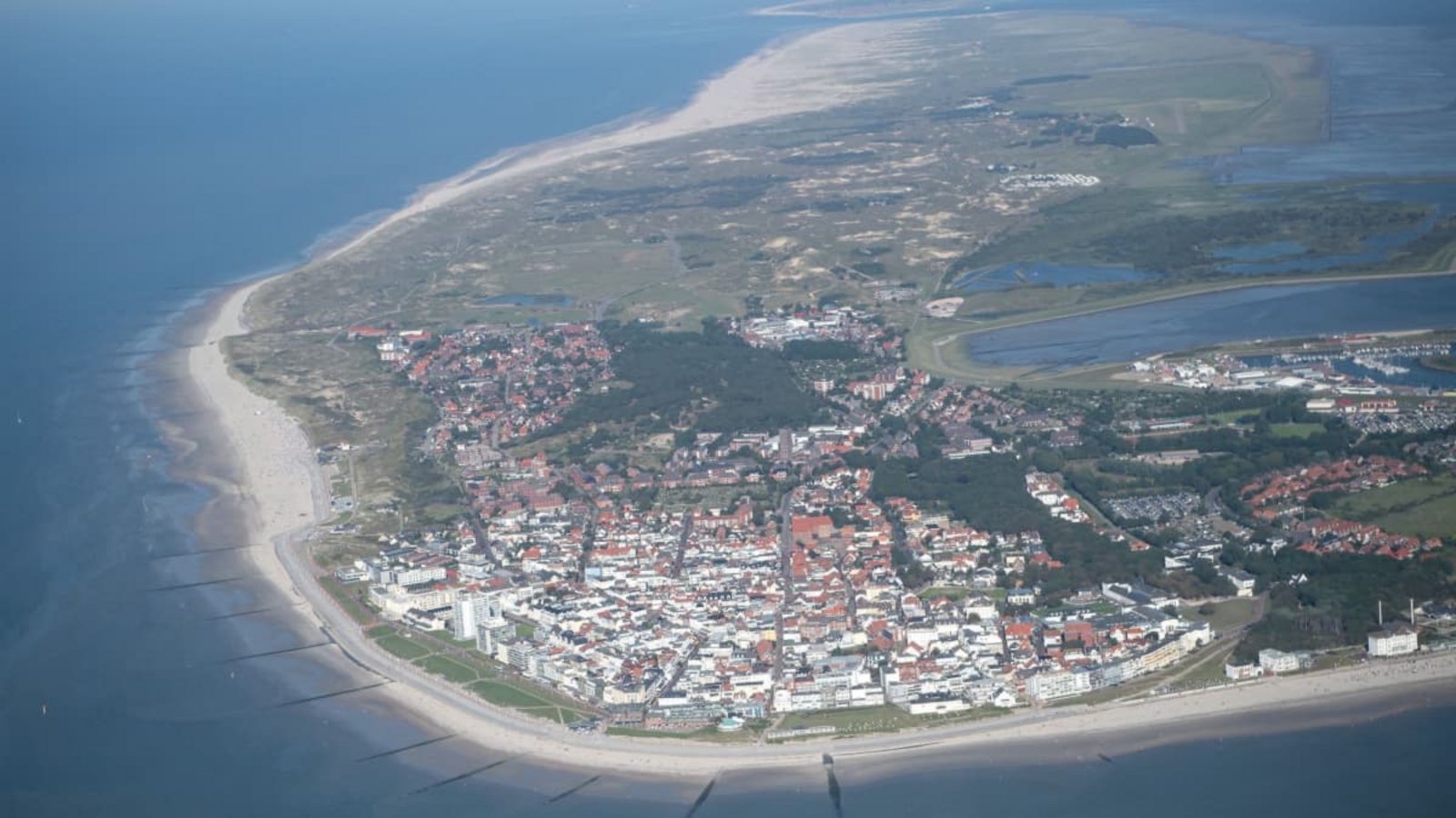 An der ostfriesischen Insel Norderney ist ein toter Schweinswal angeschwemmt worden.Sina Schuldt/dpa An der ostfriesischen Insel Norderney ist ein toter Schweinswal angeschwemmt worden.Sina Schuldt/dpa