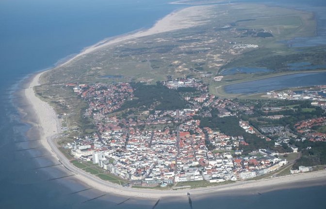 An der ostfriesischen Insel Norderney ist ein toter Schweinswal angeschwemmt worden.<span class='image-autor'>Sina Schuldt/dpa</span>