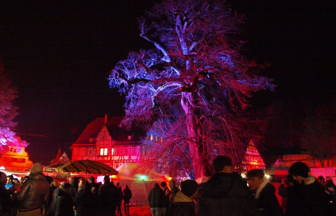 Die über 250 Jahre alte Linde dominiert den Platz vor dem Paradies im Klosterhof. <span class='image-autor'>Fotos: Filitz</span>