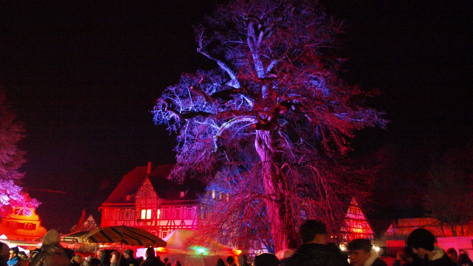 Die über 250 Jahre alte Linde dominiert den Platz vor dem Paradies im Klosterhof. Fotos: Filitz Die über 250 Jahre alte Linde dominiert den Platz vor dem Paradies im Klosterhof. Fotos: Filitz