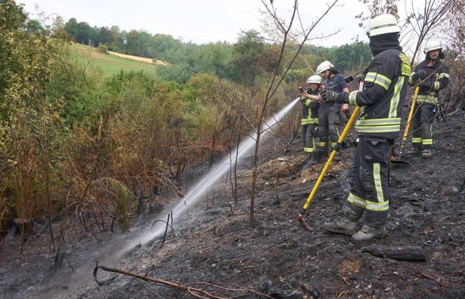 Feuerwehrleute sind nach einem Waldbrand im Westerwald mit Nachlöscharbeiten beschäftigt. Nach dem Waldbrand beim Ortsteil Gebhardshain läuft der Einsatz weiter. Bei dem Brand kamen die Flammen bis auf 20 Meter an Häuser heran.<span class='image-autor'>Thomas Frey/dpa</span>