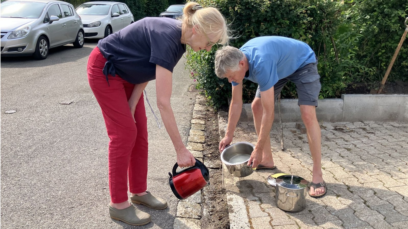 Mit Kochtopf und Wasserkocher: Der Biologe Christian Wolff und seine Nachbarin beim täglichen Kampf mit heißem Wasser gegen die Tapinoma-magnum-Ameisen.Foto: StZN/Dürr Mit Kochtopf und Wasserkocher: Der Biologe Christian Wolff und seine Nachbarin beim täglichen Kampf mit heißem Wasser gegen die Tapinoma-magnum-Ameisen.Foto: StZN/Dürr