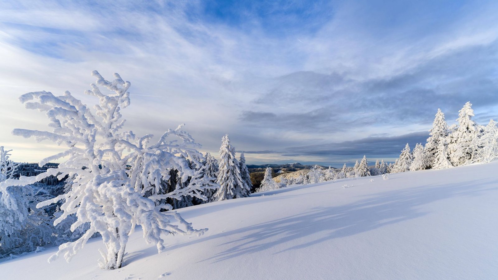 So wie hier am 10. Januar 2024 am Feldberg könnte sich das Bergland zu Weihnachten tief verschneit zeigen.Foto: ZGS/IMAGO/imageBROKER/Dierk Boeser So wie hier am 10. Januar 2024 am Feldberg könnte sich das Bergland zu Weihnachten tief verschneit zeigen.Foto: ZGS/IMAGO/imageBROKER/Dierk Boeser