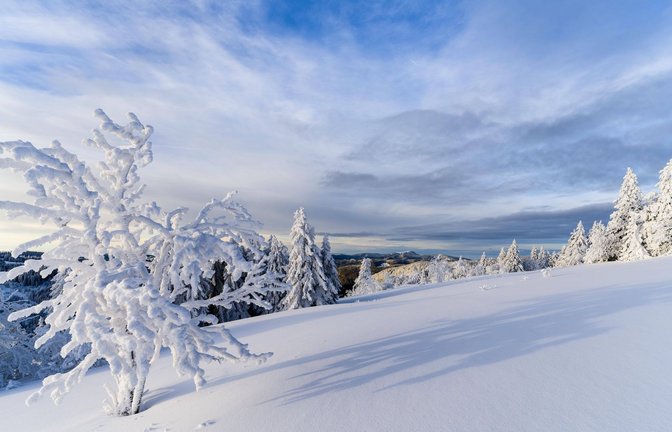 So wie hier am 10. Januar 2024 am Feldberg könnte sich das Bergland zu Weihnachten tief verschneit zeigen.<span class='image-autor'>Foto: ZGS/IMAGO/imageBROKER/Dierk Boeser</span>