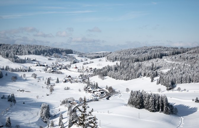 Vor allem im Schwarzwald gibt es viel Schnee diese Woche.<span class='image-autor'>Foto: Wirestock Creators / shutterstock.com</span>