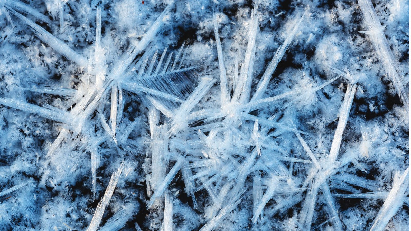 Winter Wonderland: Zauberhafte aus Eis in einer Pfütze.Foto: Imago/blickwinkel Winter Wonderland: Zauberhafte aus Eis in einer Pfütze.Foto: Imago/blickwinkel
