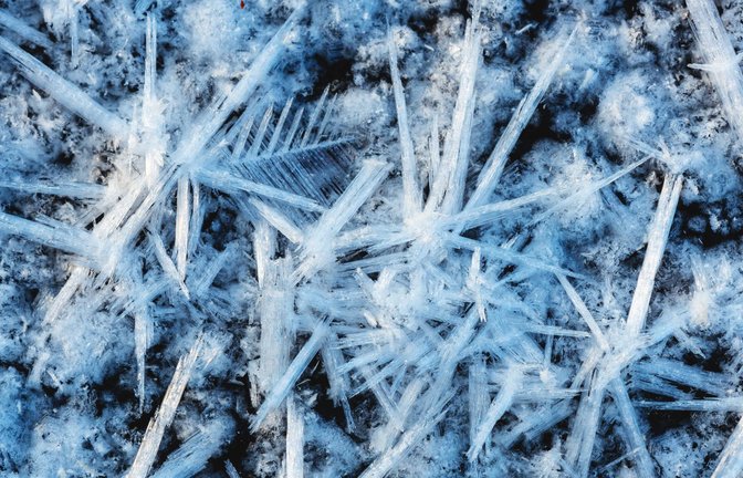 Winter Wonderland: Zauberhafte aus Eis in einer Pfütze.<span class='image-autor'>Foto: Imago/blickwinkel</span>