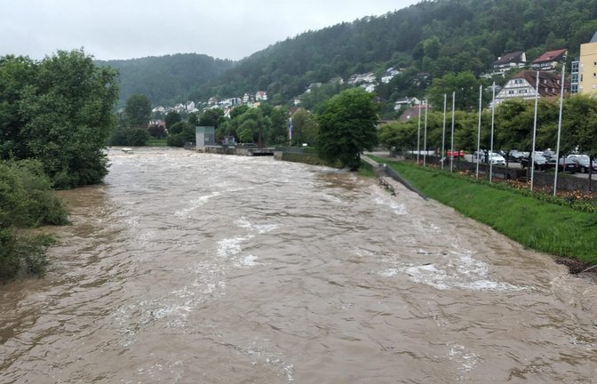Die Wehr am Horber Neckar ist überflutet.<span class='image-autor'>Foto: Ganswind</span>