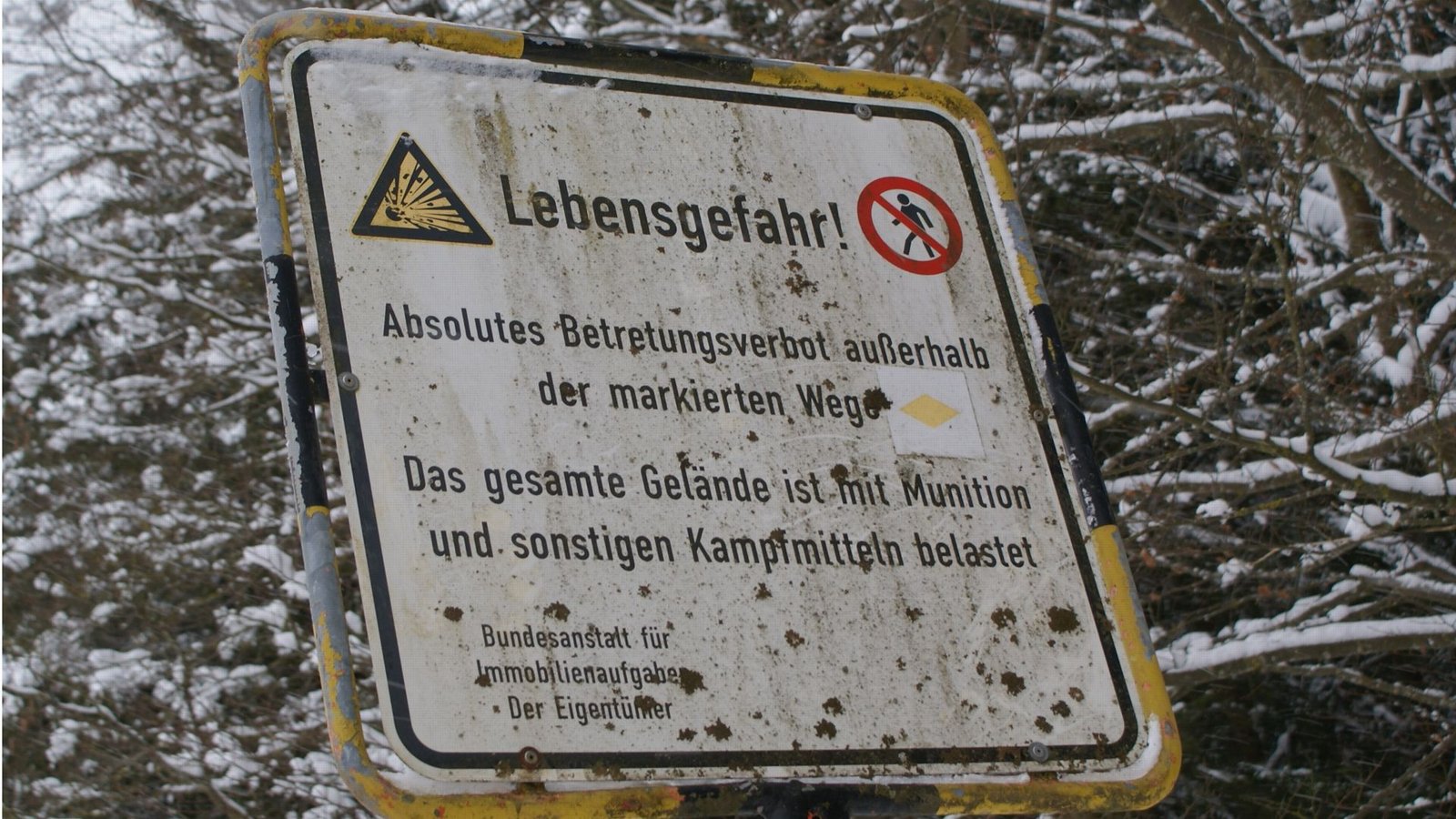 Nur auf ausgewiesenen Wegen darf der Truppenübungsplatz heute begangen werden, denn abseits schlummern im Boden noch unzählige Blindgänger.Foto: Joachim Lenk