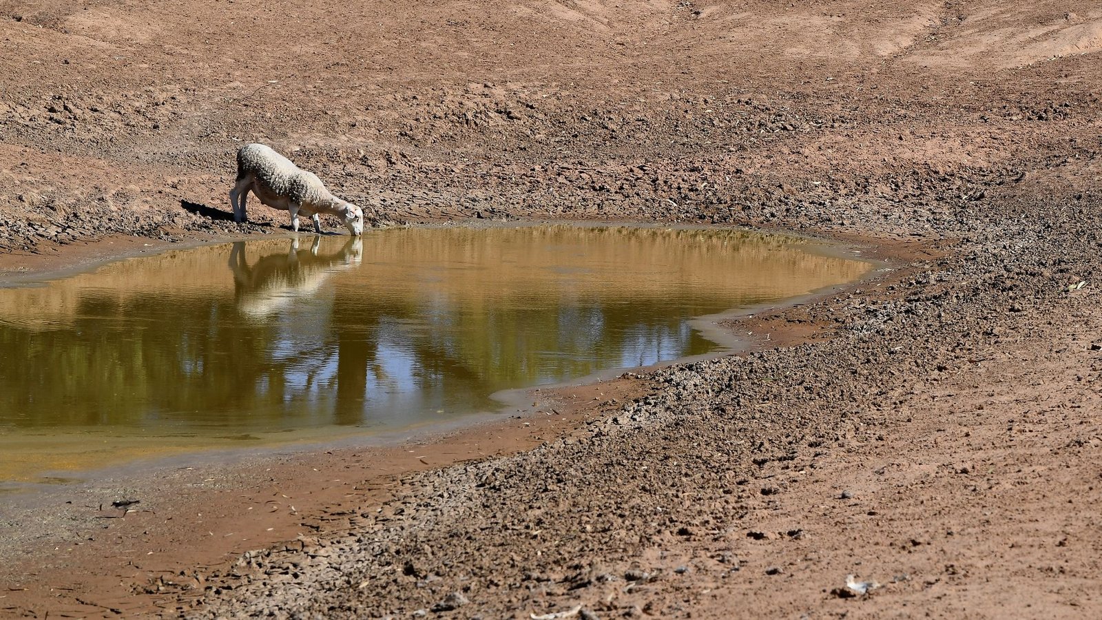 Die NOAA hat den Beginn von El Niño verkündet. (Symbolbild)Foto: Dean Lewins/AAP/dpa Die NOAA hat den Beginn von El Niño verkündet. (Symbolbild)Foto: Dean Lewins/AAP/dpa