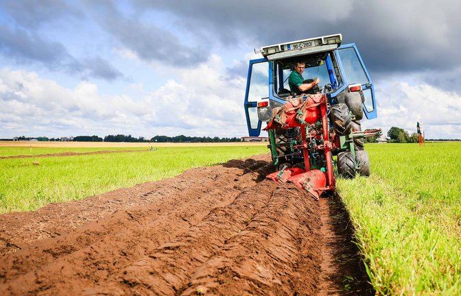 Pflügen ist die erste und wichtigste Arbeit des Jahres beim planmäßigen Anbau von Nutzpflanzen und garantiere die Fruchtbarkeit der obersten Erdschicht.<span class='image-autor'>Foto: imago/Scanpix/Signe Oidekivi</span>
