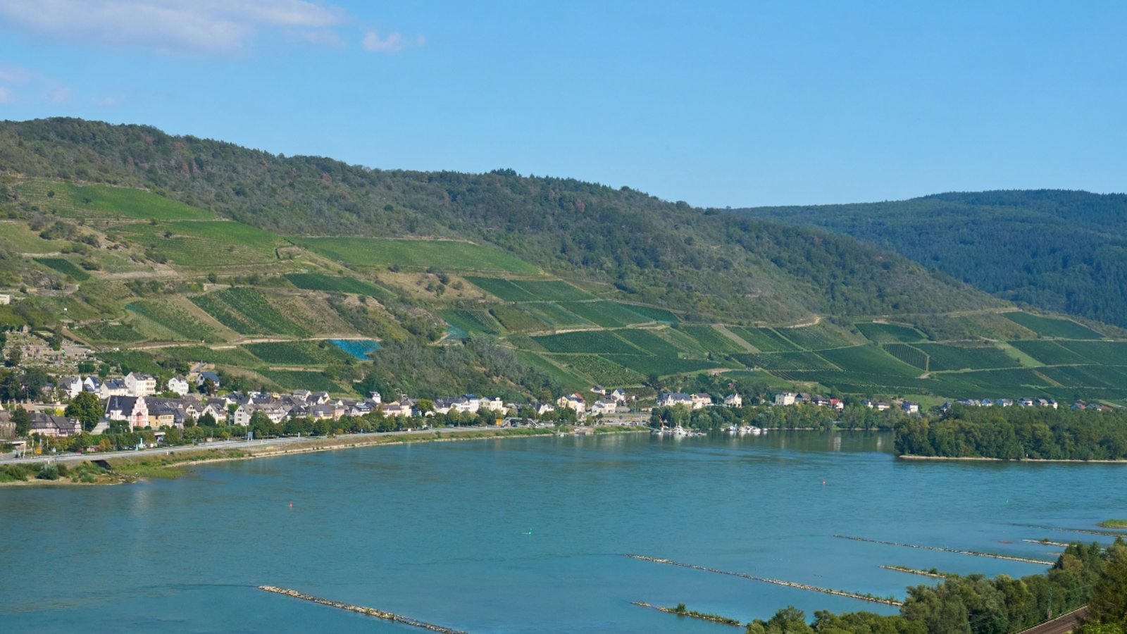 Der historische Zug der DBK fährt am Rhein entlang. Foto: DBK Der historische Zug der DBK fährt am Rhein entlang. Foto: DBK