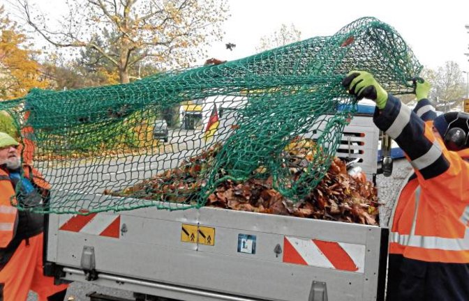 Mit dem „Einfangen“ von Herbstlaub haben die Mitarbeiter des Vaihinger Bauhofes in diesen Tagen alle Hände voll zu tun.  Foto: Arning