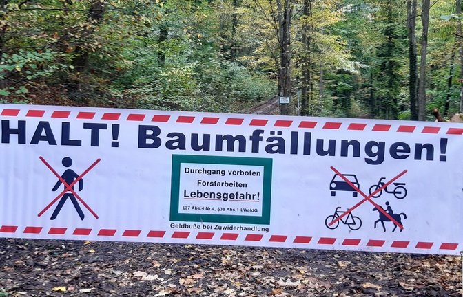 Wer jetzt im Forst unterwegs ist, der stösst im Zweifel auf ein solches Absperrband. In der Wintersaison wird in den hiesigen Wäldern nämlich wieder Holz eingeschlagen.