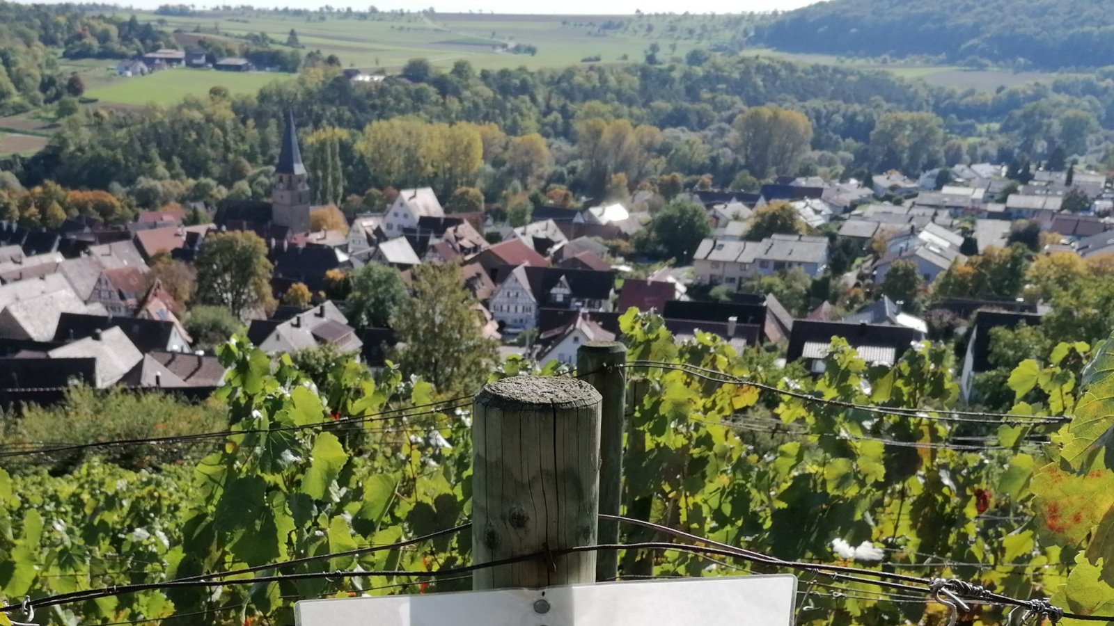 Zeichen der Solidarität in den Roßwager Weinbergen.  Foto: Banholzer