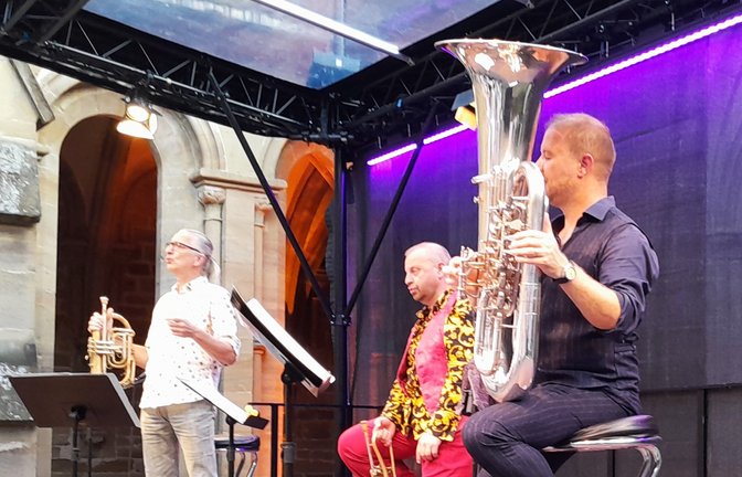 Das Trio aus Österreich begeistert in Maulbronn mit Vielfalt und Spielfreude.  <span class='image-autor'>Foto: Filitz</span>