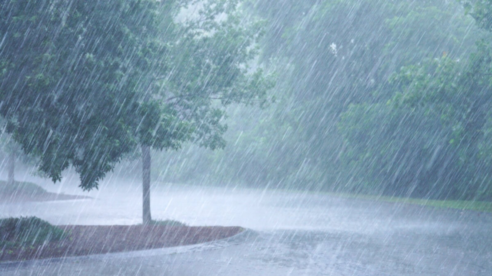 Sprache in Wetterberichten: Was ist der Unterschied zwischen Regen und Schauer?Foto: ND700 / Shutterstock.com Sprache in Wetterberichten: Was ist der Unterschied zwischen Regen und Schauer?Foto: ND700 / Shutterstock.com