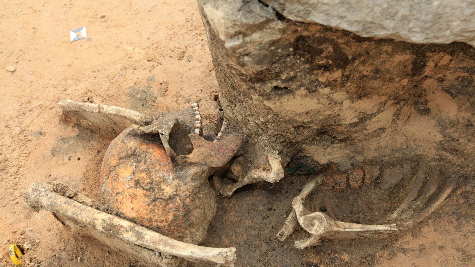 Wiedergängergrab: Bei Ausschachtungen für eine ICE Trasse in Klein Gräfendorf in Sachsen fanden Archäologen das Skelett eines Mannes, das mit riesigen Steinen beschwert worden.Foto: Imago/Steffen Schellho/n Wiedergängergrab: Bei Ausschachtungen für eine ICE Trasse in Klein Gräfendorf in Sachsen fanden Archäologen das Skelett eines Mannes, das mit riesigen Steinen beschwert worden.Foto: Imago/Steffen Schellho/n