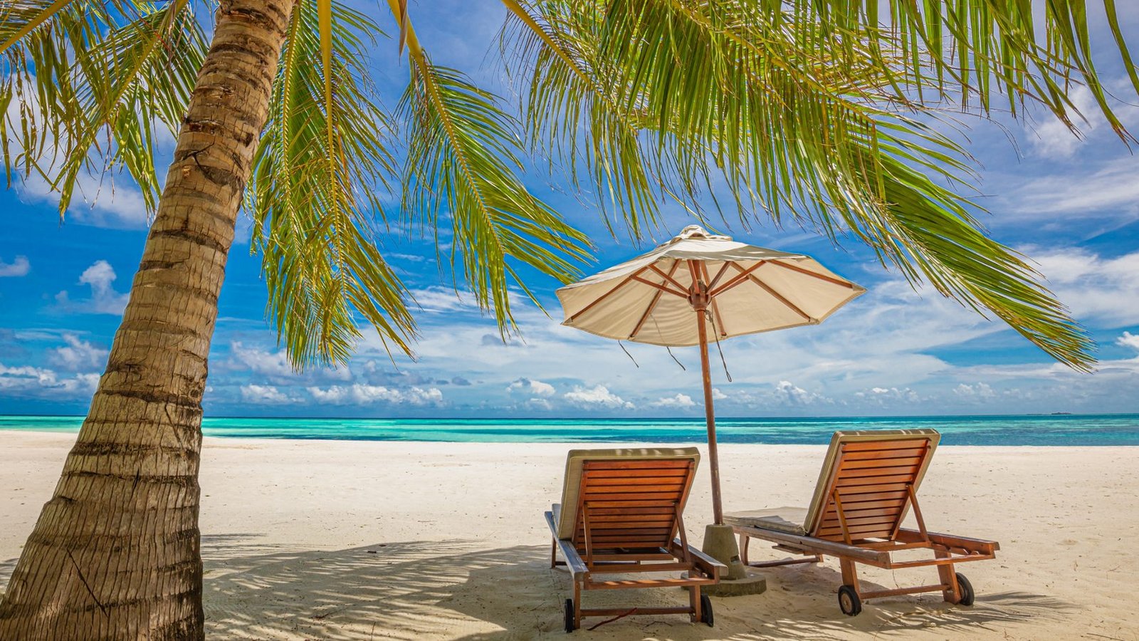 Foto: icemanphotos / shutterstock.com Foto: icemanphotos / shutterstock.com
