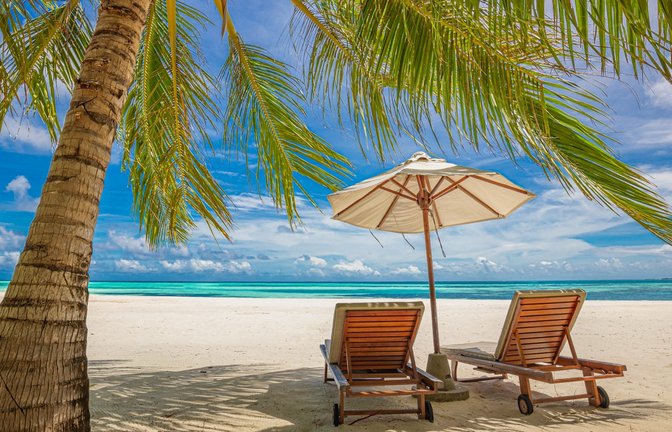 <span class='image-autor'>Foto: icemanphotos / shutterstock.com</span>