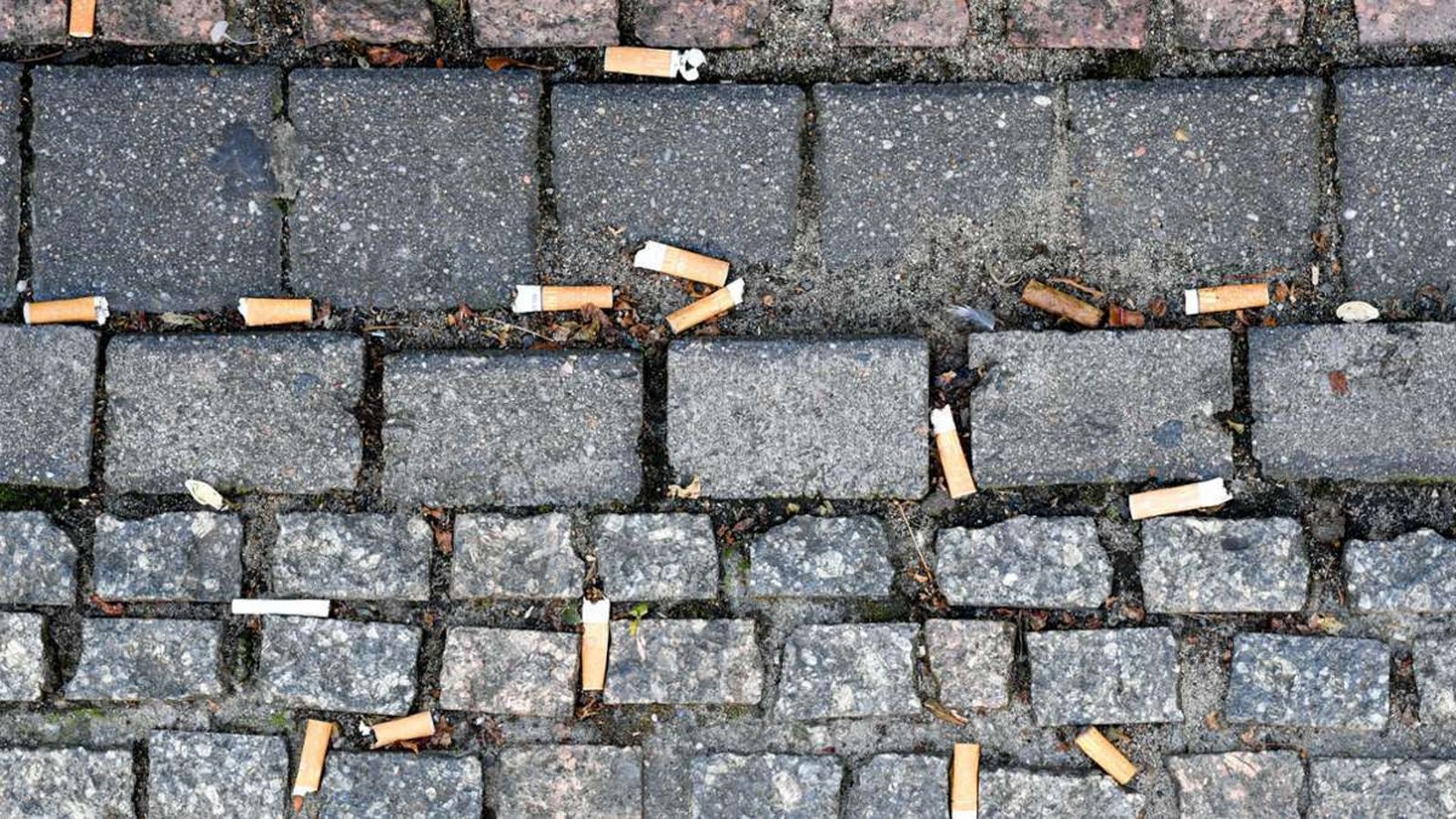 Zahlreiche auf den Boden geworfene Zigarettenstummel liegen auf dem Pflaster des Gendarmenmarktes in Berlin. Weltweit werden Schätzungen zufolge jedes Jahr 4,5 Billionen Zigaretten in die Umwelt geworfen.Foto: dpa/Jens Kalaene Zahlreiche auf den Boden geworfene Zigarettenstummel liegen auf dem Pflaster des Gendarmenmarktes in Berlin. Weltweit werden Schätzungen zufolge jedes Jahr 4,5 Billionen Zigaretten in die Umwelt geworfen.Foto: dpa/Jens Kalaene