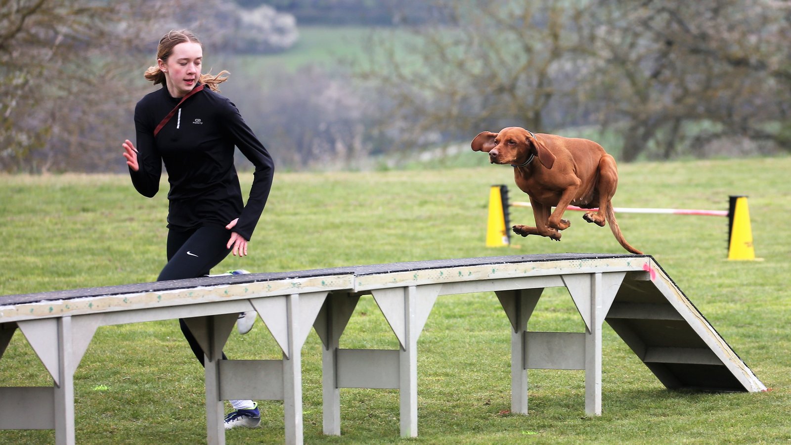 Wie von einer Feder geschnellt hetzt Jagdhündin Luna ihrer Teampartnerin Lilian Stauss hinterher. Bei den Wettbewerben auf dem Zwergberg absolvieren Hund und Mensch den Parcours. Fotos: Küppers