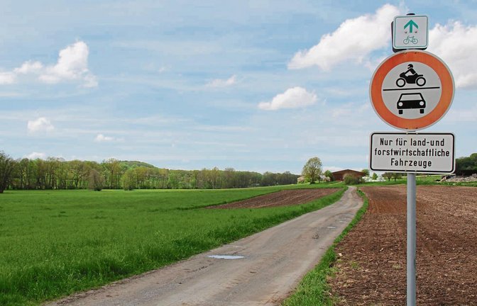 Der Lienzinger Weg verbindet Illingen mit Lienzingen. Der Privatweg ist vom Enzkreis als offizieller Radweg gekennzeichnet und auch im Radwegenetz aufgeführt.  Foto: Elsässer