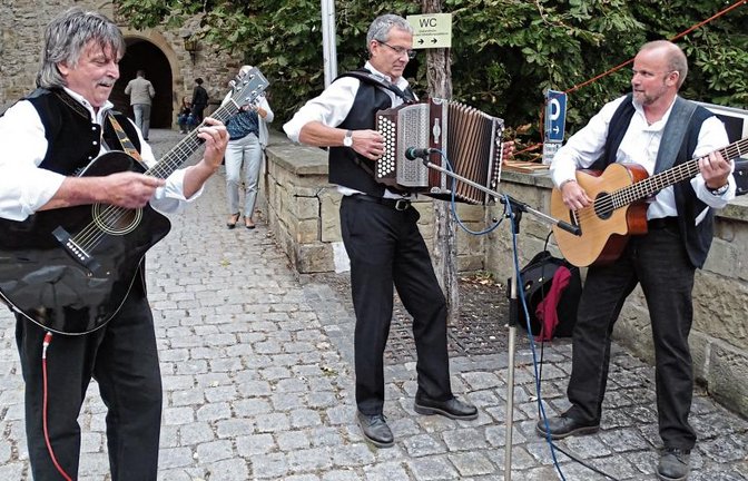 Das Trio Bravura spielt beim Sachsenheimer Fest im Schlossgarten. Foto: p