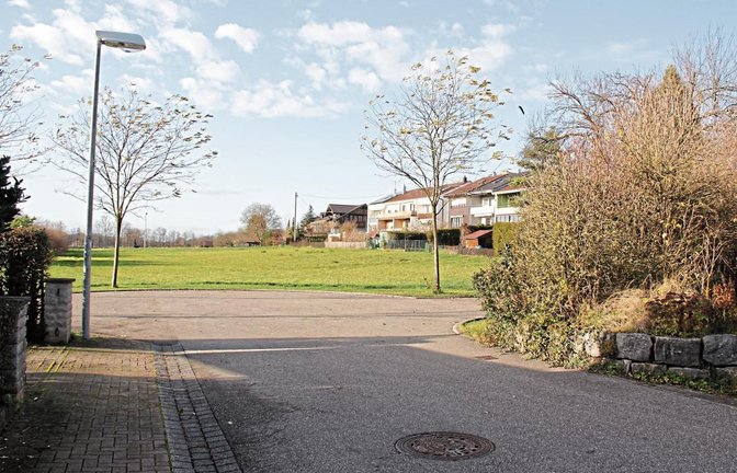 Das Illinger Wiesental ist eine Grünfläche am Ende der Mühlstraße. Auch einige Häuser der Schützinger Straße (hinten rechts) grenzen an.
