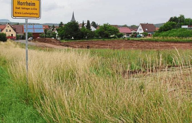 Horrheim bekommt einen Penny-Markt. Die Bauarbeiten dafür haben begonnen, die oberste Bodenschicht wurde bereits abgetragen.  Foto: Elsässer