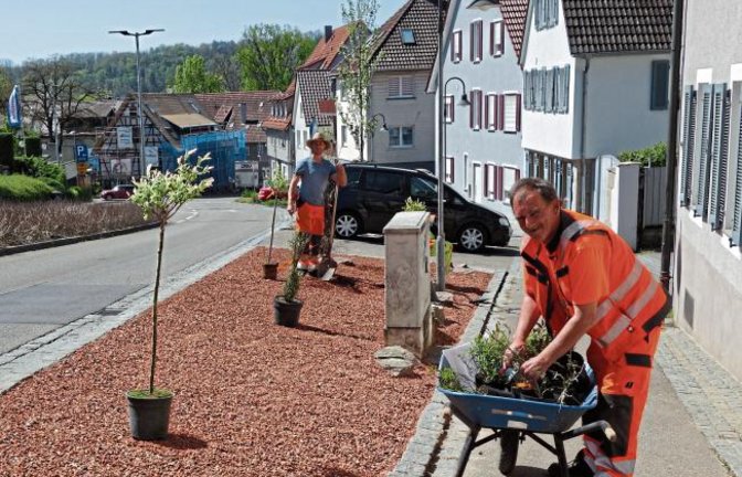 Jetzt wird’s bunt und insektenfreundlich: An der Vaihinger Gerberstraße pflanzten die Bauhof-Mitarbeiter gestern Sommerflieder, Sonnenröschen und allerhand mehr. Foto: sr