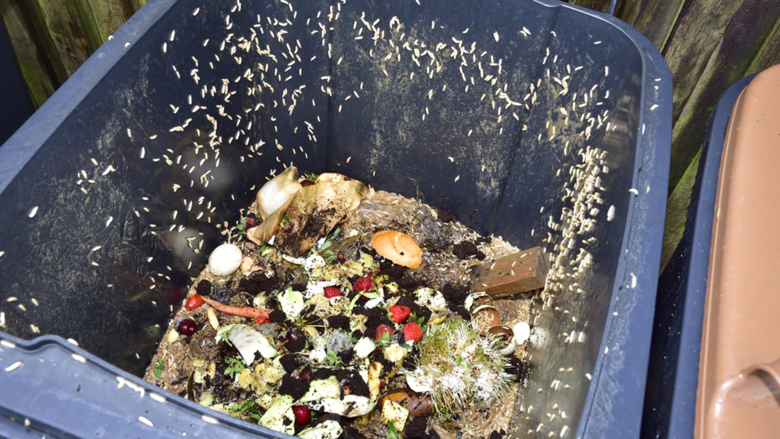 Diese Mülltonne braucht dringend eine Reinigung.Foto: Karin Jaehne / shutterstock.com Diese Mülltonne braucht dringend eine Reinigung.Foto: Karin Jaehne / shutterstock.com