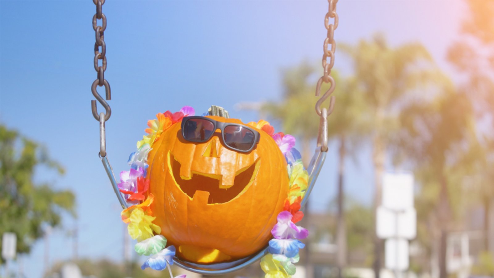 Halloween im Sommer: Darum geht es bei "Summerween".Foto: Mastershots4K/ Shutterstock Halloween im Sommer: Darum geht es bei "Summerween".Foto: Mastershots4K/ Shutterstock