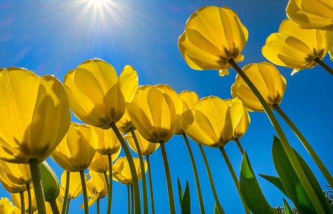 Muss man sich heute eincremen?<span class='image-autor'>Foto: Henry Lesnussa / shutterstock.com</span>
