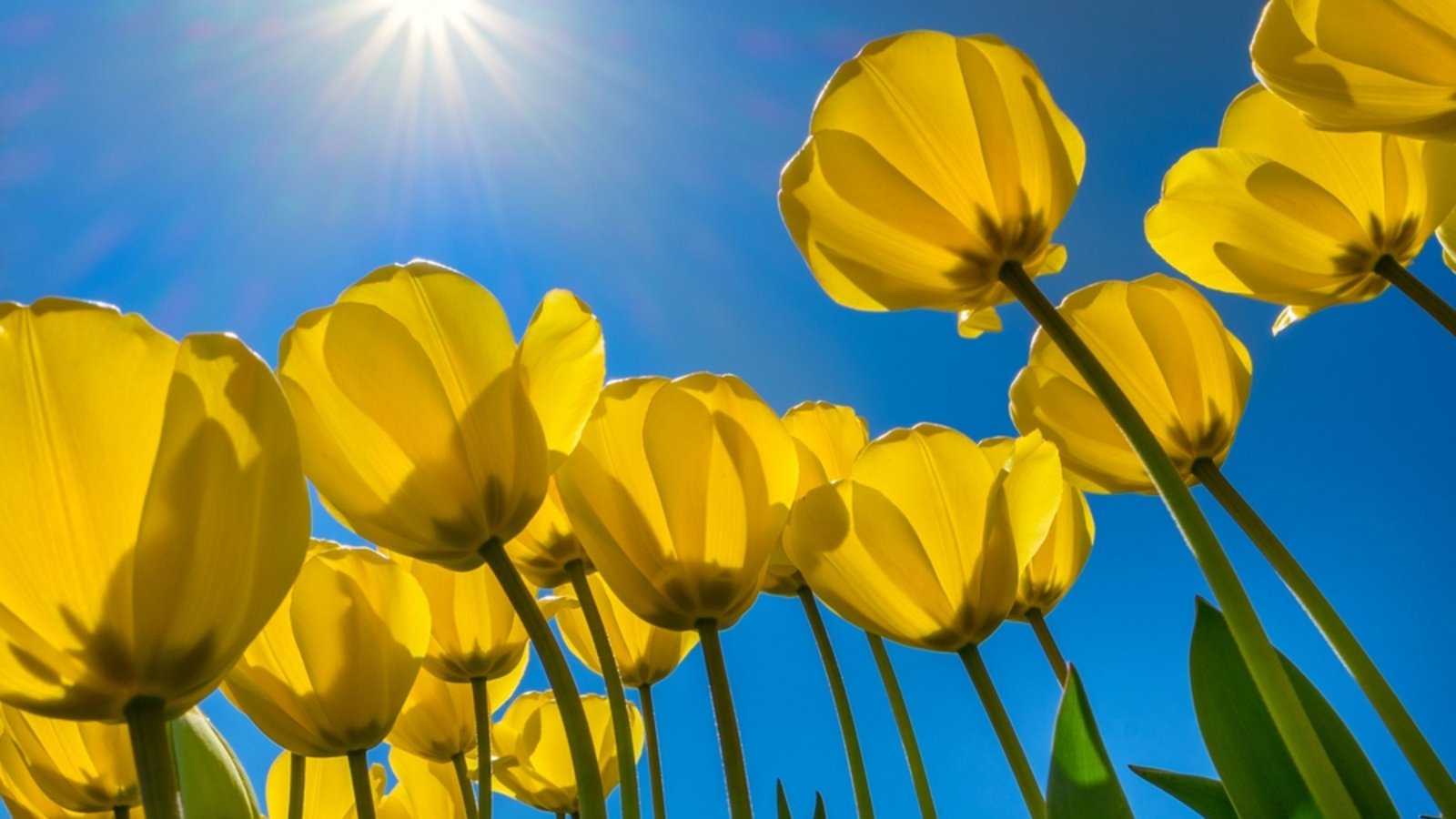 Muss man sich heute eincremen?Foto: Henry Lesnussa / shutterstock.com