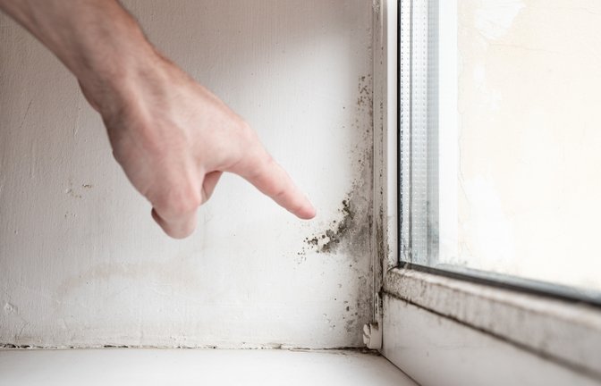 Woher kommt der Schimmel?<span class='image-autor'>Foto: Jenya Smyk / shutterstock.com</span>