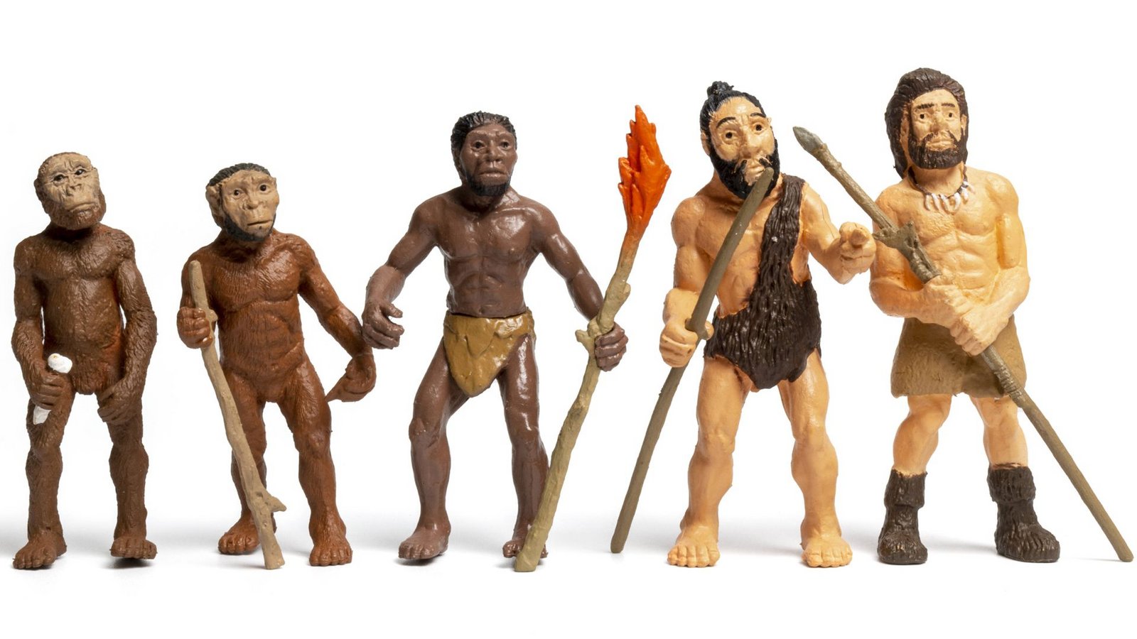 Vom Affen zum modernen Menschen: Die Evolution des Homo sapiens verlief weder bruchlos noch geradlinig.Foto: Imago/Zoonar Vom Affen zum modernen Menschen: Die Evolution des Homo sapiens verlief weder bruchlos noch geradlinig.Foto: Imago/Zoonar