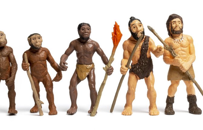 Vom Affen zum modernen Menschen: Die Evolution des Homo sapiens verlief weder bruchlos noch geradlinig.<span class='image-autor'>Foto: Imago/Zoonar</span>
