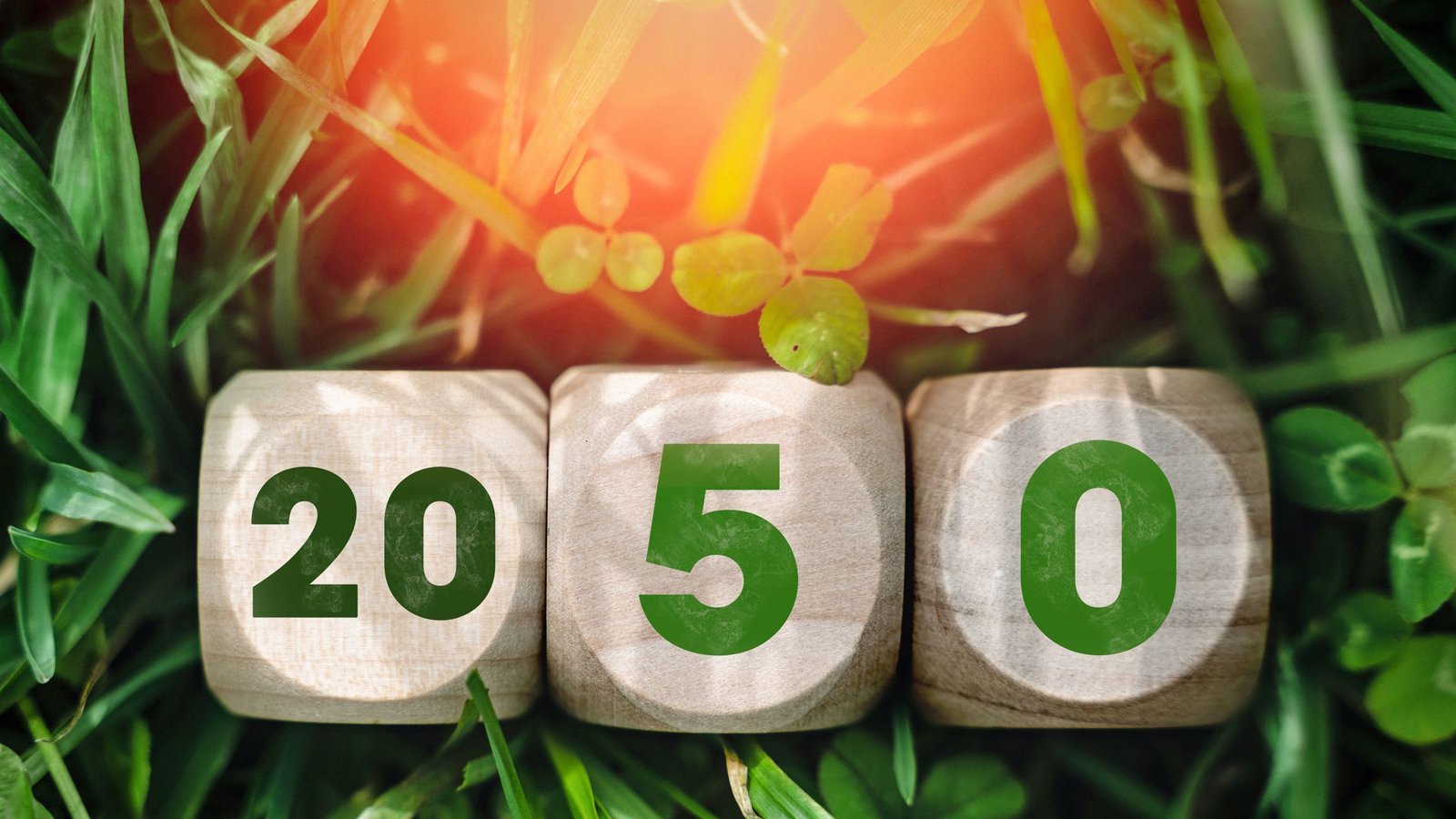 Die Zahl 2050 steht für das Klimaziel der EU, klimaneutral zu werden. Der European Green Deal gibt die Richtung vor, um Emissionen auf netto null zu senken und eine nachhaltige Wirtschaft zu erreichen.Foto: IImago/Bihlmayerfotografie
