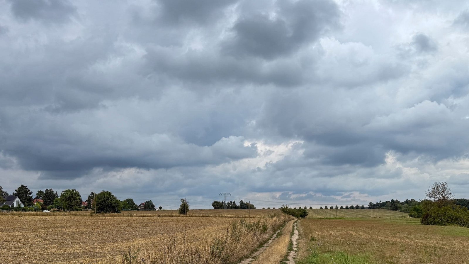 Dunkle Wolken und Gewitter ziehen nach der Vorhersage des Deutschen Wetterdiensts aus Westen heran. (Archivbild)Jan Woitas/dpa