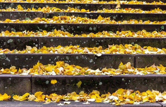 Wohin mit den Bergen von Laub? Diese Frage stellt sich für Gartenbesitzer jedes Jahr wieder.<span class='image-autor'>Foto: Imago/Jan Eifert</span>