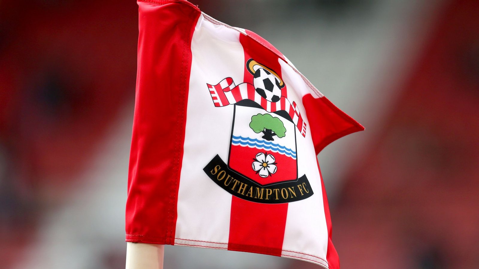Der FC Southampton wurde wegen Spionage von den Playoffs ausgeschlossen. (Archivbild)Foto: Mark Kerton/PA Wire/dpa Der FC Southampton wurde wegen Spionage von den Playoffs ausgeschlossen. (Archivbild)Foto: Mark Kerton/PA Wire/dpa