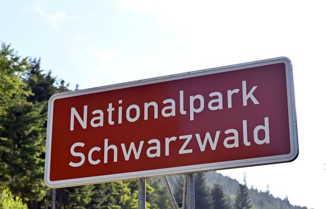 Nationalparks spielen eine wichtige Rolle für den Naturschutz im Land.<span class='image-autor'>Foto: Uli Deck/dpa/Uli Deck</span>