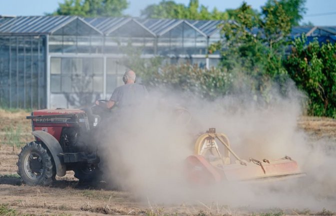 Wer Futter zukaufen muss, kann das jetzt bei der zuständigen Öko-Behörde beim Regierungspräsidium Karlsruhe beantragen.(Archiv)<span class='image-autor'>Uwe Anspach/dpa</span>